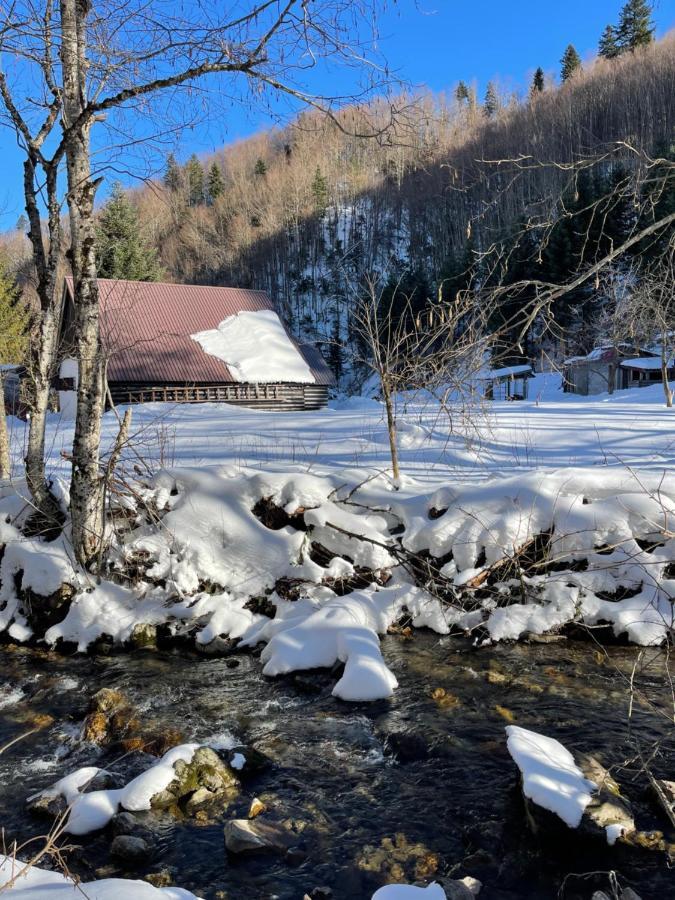 Cottage In The Wild Pjescanica Колашин Экстерьер фото