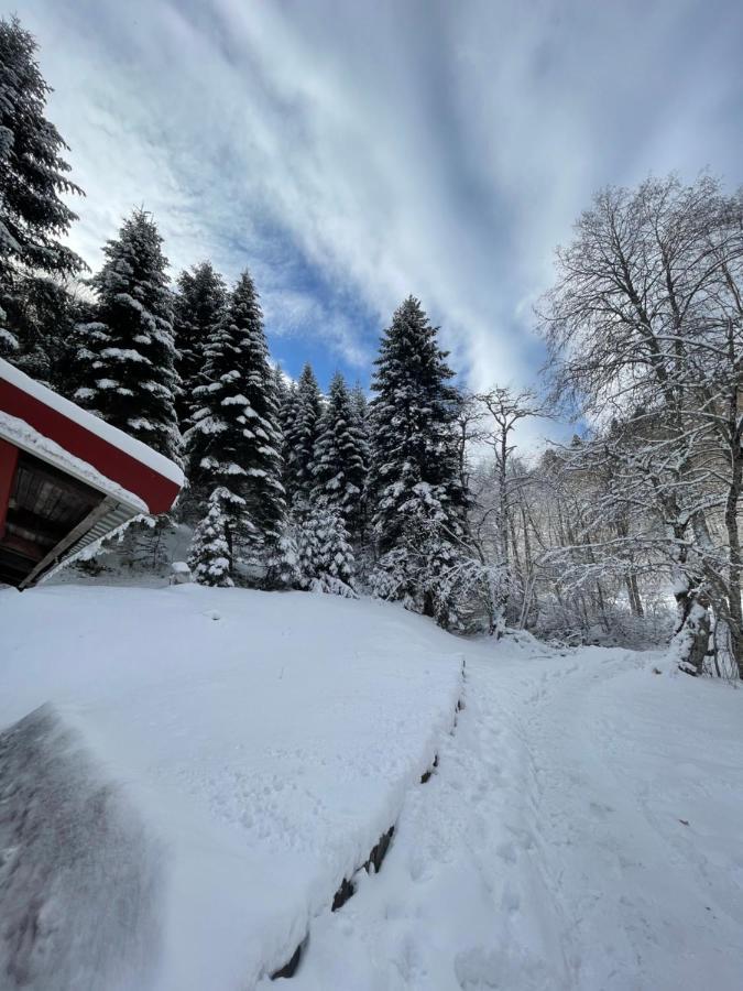 Cottage In The Wild Pjescanica Колашин Экстерьер фото
