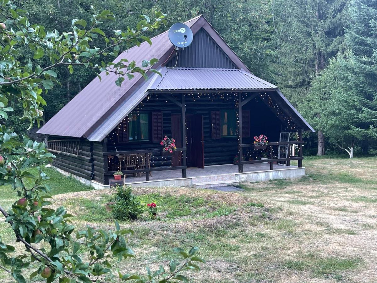 Cottage In The Wild Pjescanica Колашин Экстерьер фото